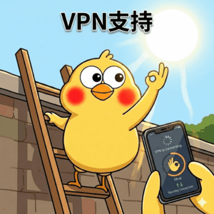 VPN支持