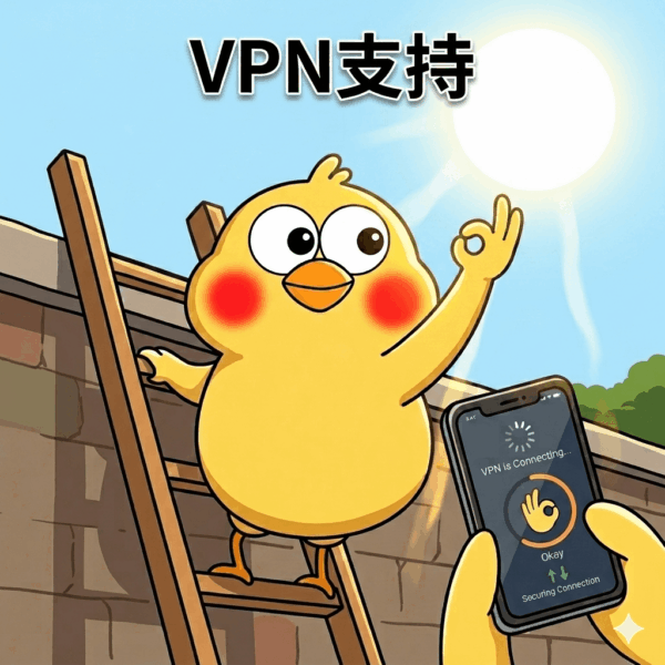 vpn VPN支持